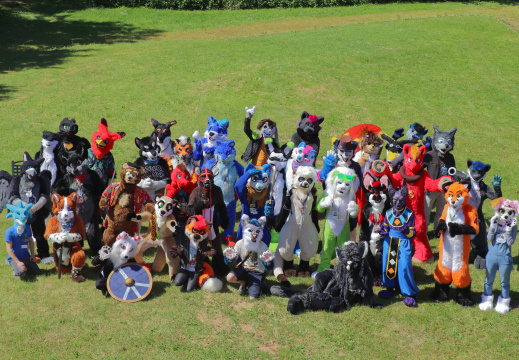 Group picture fursuiters