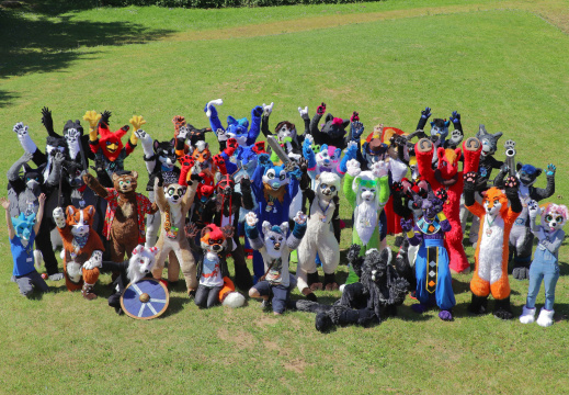 Group picture fursuiters 2
