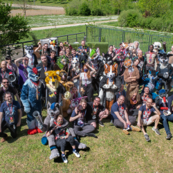 Group pictures