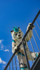 08042023-DSC01863-2