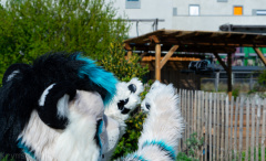 09042023-DSC02217
